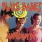 Blake Babies - Sunburn (Vinyle Neuf)