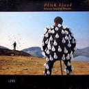 Pink Floyd - Delicate Sound Of Thunder (Vinyle Neuf)
