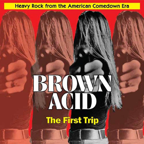 Various - Brown Acid: The First Trip (Vinyle Neuf)