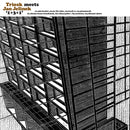 Triosk / Jan Jelinek - 1+3+1 (Vinyle Neuf)