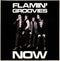 Flamin Groovies - Now (Vinyle Neuf)