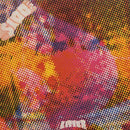 Litter - $100 Fine (Vinyle Neuf)