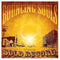 Bouncing Souls - The Gold Record (Vinyle Neuf)
