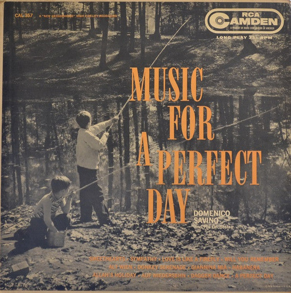 Domenico Savino - Music For A Perfect Day (Vinyle Usagé)