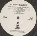 Robert Palmer / Durell Coleman - I Didnt Mean to Turn You On / Take Me Back to My Love in China (Vinyle Usagé)