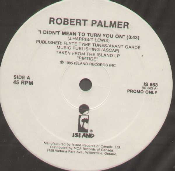 Robert Palmer / Durell Coleman - I Didnt Mean to Turn You On / Take Me Back to My Love in China (Vinyle Usagé)