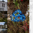 Mabe Fratti - Se Ve Desde Aqui (Vinyle Neuf)