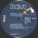 Richard T Bear - Sunshine Hotel (Just Walk on In) (Vinyle Usagé)