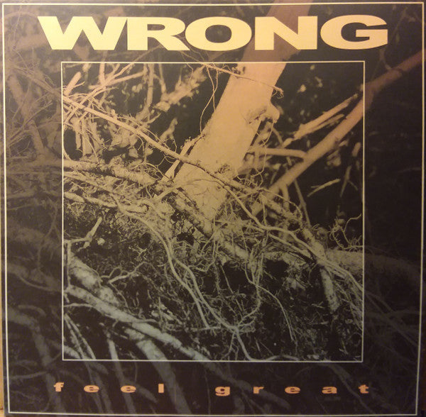 Wrong - Feel Great (Vinyle Usagé)