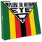 Eye Q - Please The Nation (Vinyle Neuf)