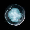 A Winged Victory For The Sullen - The Undivided Five (Vinyle Neuf)