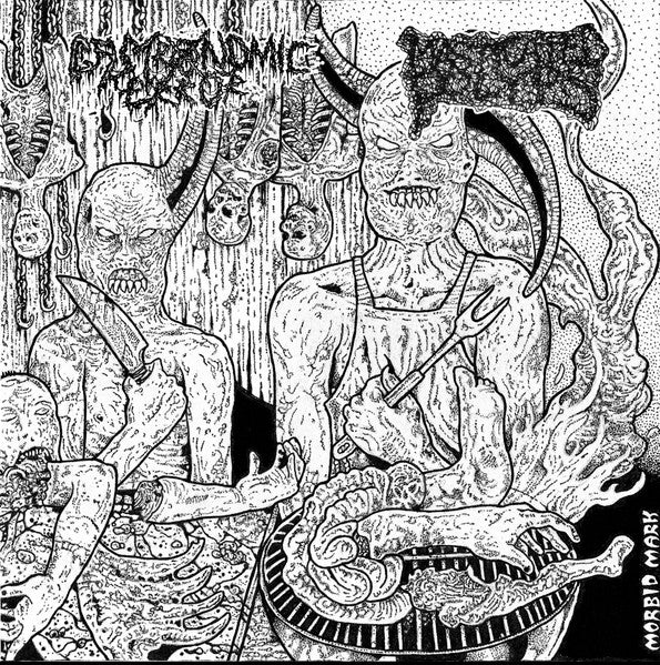 Gastronomic Error / Masticated Polyps - Split (Vinyle Neuf)