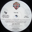 FATE - Just Because (Vinyle Usagé)