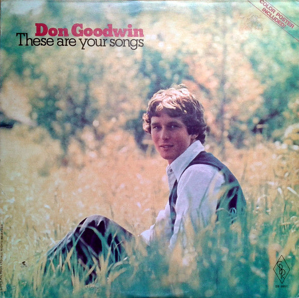 Don Goodwin - These Are Your Songs (Vinyle Usagé)