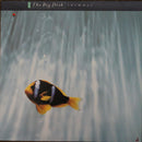 Big Dish - Swimmer (Vinyle Usagé)