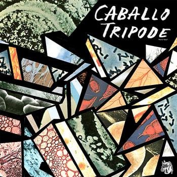 Caballo Tripode - Horror Vacui (Vinyle Usagé)