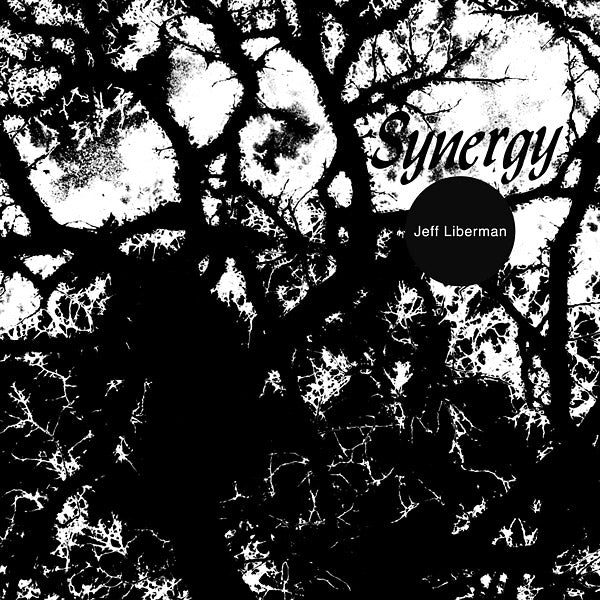 Jeffery Liberman - Synergy (Vinyle Neuf)