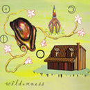 Wilderness - Living Through / Part Ways (45-Tours Usagé)