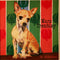 Mara Tremblay - Le Chihuahua (Vinyle Neuf)