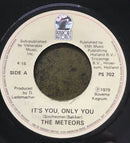 The Meteors - It (45-Tours Usagé)