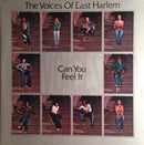Voices Of East Harlem - Can You Feel It (Vinyle Neuf)