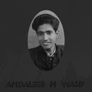 Andaleeb M Wasif - Andaleeb M Wasif (Vinyle Neuf)