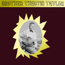 Brother Theotis Taylor - Brother Theotis Taylor (Vinyle Neuf)