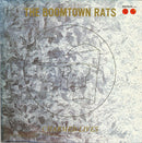 The Boomtown Rats - Charmed Lives (45-Tours Usagé)