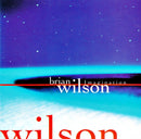 Brian Wilson - Imagination (CD Usagé)