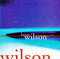 Brian Wilson - Imagination (CD Usagé)