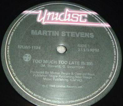 Martin Stevens - Too Much Too Late (Vinyle Usagé)