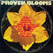 Various - Proven Blooms (Vinyle Usagé)