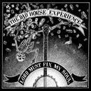 The Dad Horse Experience - Lord Must Fix My Soul (45-Tours Usagé)