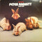 Peter Rabbitt - Roadstar Peter Rabbitt (Vinyle Usagé)