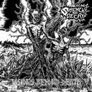Stench Of Decay - Visions Beyond Death (45-Tours Usagé)