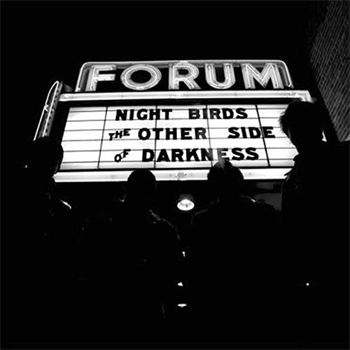 Night Birds - The Other Side Of Darkness (Vinyle Neuf)