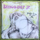Dinosaur Jr - Youre Living All Over Me (Vinyle Neuf)