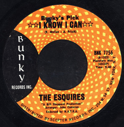 The Esquires - How Could It Be / I Know I Can (45-Tours Usagé)