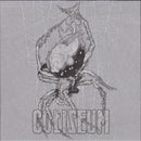Coliseum (2) - True Quiet / Last Wave (45-Tours Usagé)