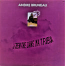 Andre Bruneau - J Rentre Dans Ma Tribu (Vinyle Usagé)