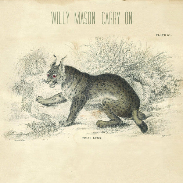 Willy Mason - Carry On (Vinyle Usagé)