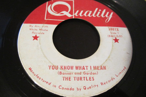 The Turtles - You Know What I Mean (45-Tours Usagé)