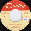 The Crystals - Hes Sure The Boy I Love (45-Tours Usagé)