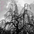 Colin Stetson and Sarah Neufeld - Never Were the Way She Was (Vinyle Neuf)