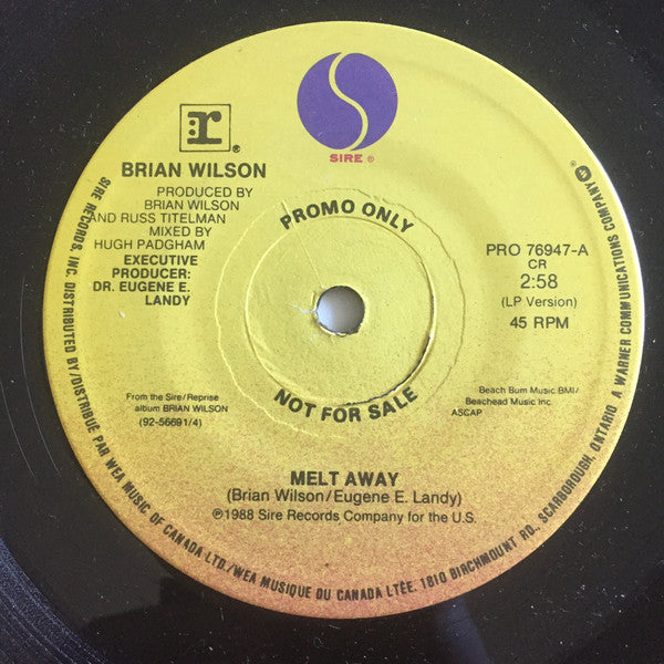 Brian Wilson - Melt Away / Being With The One You Love (45-Tours Usagé)