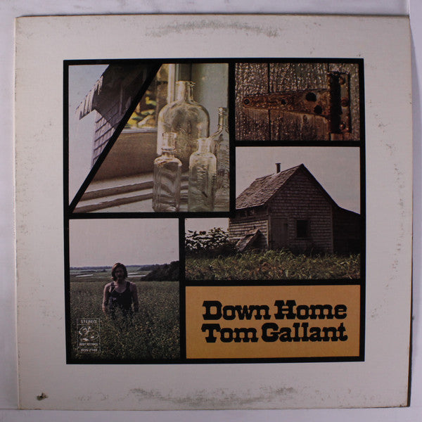 Tom Gallant - Down Home (Vinyle Usagé)