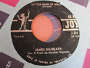 James Gilreath - Little Band Of Gold (45-Tours Usagé)