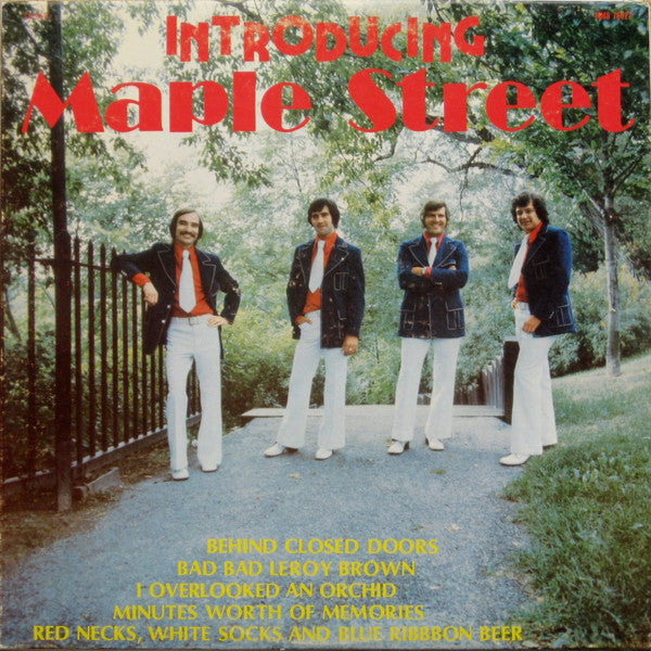 Maple Street - Introducing Maple Street (Vinyle Usagé)