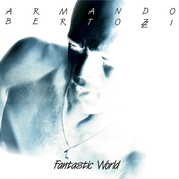 Armando Bertozzi - Fantastic World (Vinyle Usagé)