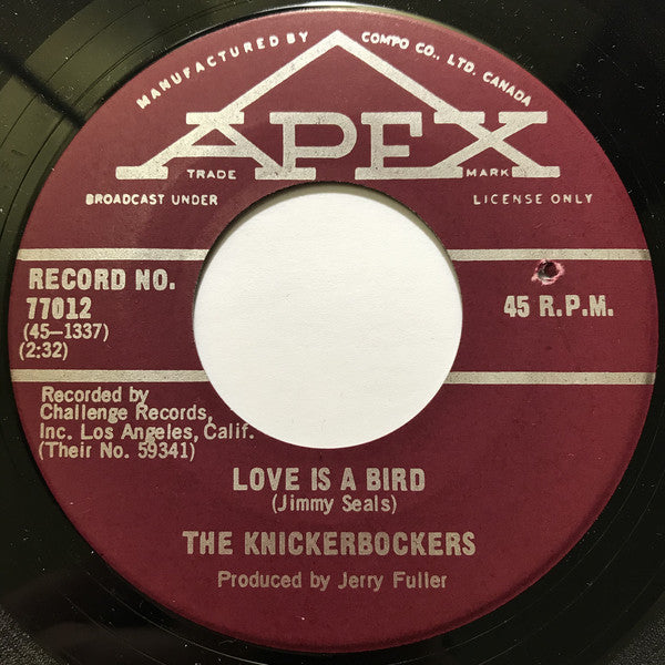 The Knickerbockers - Love Is A Bird (45-Tours Usagé)